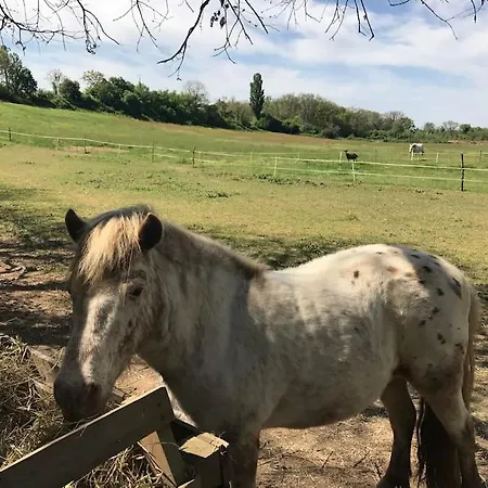 度假居 Au Coeur Du Vignoble *