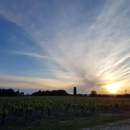 Au Coeur Du Vignoble Tatil Evi Lagrave